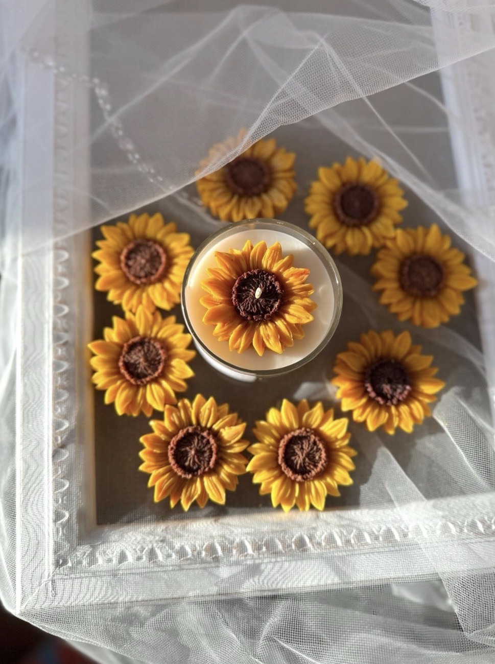 Sunflower mold