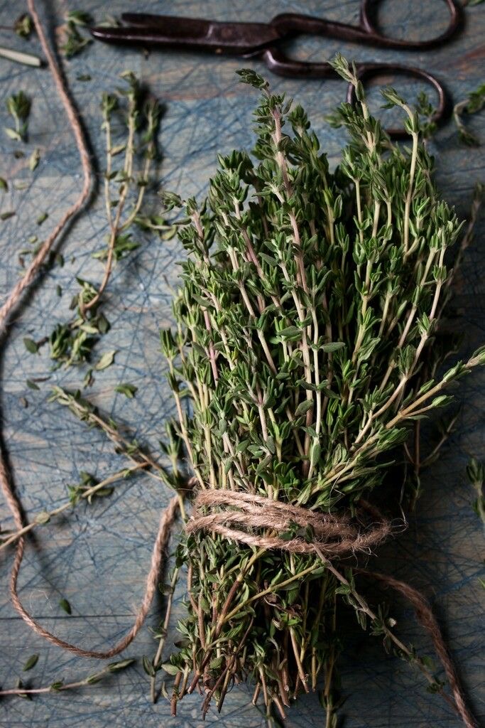 Thyme fragrance (100ml)
