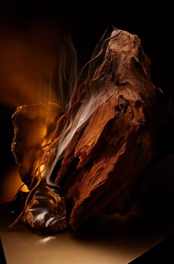 Our wood fragrance(100ml)